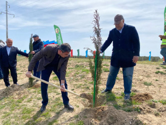 2024-2025-ci il tədbirlər