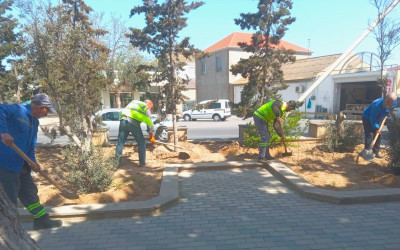 2024-2025-ci il tədbirlər