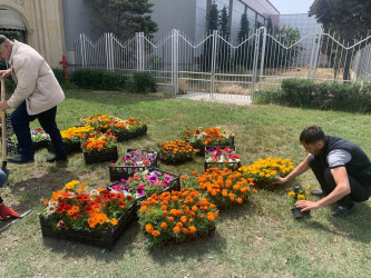 2024-2025-ci il tədbirlər