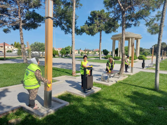 2024-2025-ci il tədbirlər